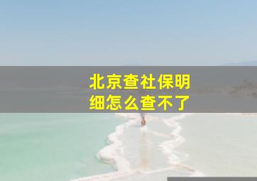 北京查社保明细怎么查不了