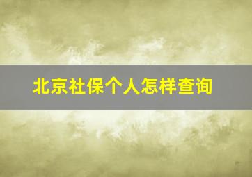 北京社保个人怎样查询