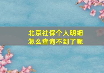 北京社保个人明细怎么查询不到了呢