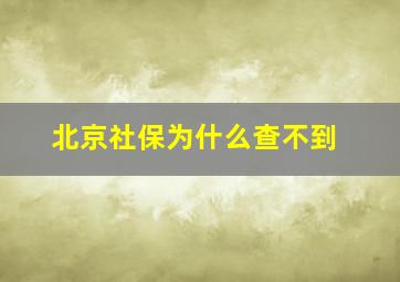 北京社保为什么查不到