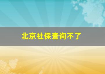 北京社保查询不了