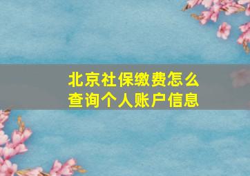 北京社保缴费怎么查询个人账户信息