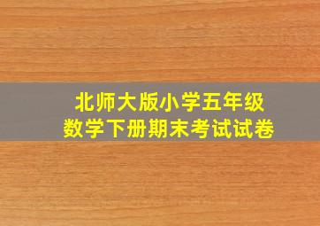 北师大版小学五年级数学下册期末考试试卷