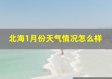 北海1月份天气情况怎么样