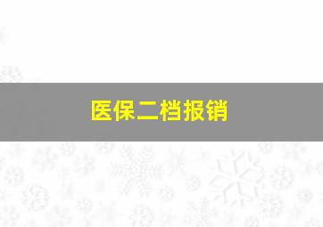 医保二档报销