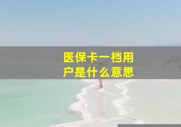 医保卡一档用户是什么意思