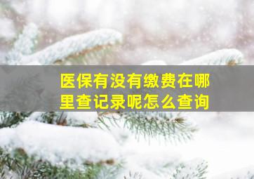 医保有没有缴费在哪里查记录呢怎么查询