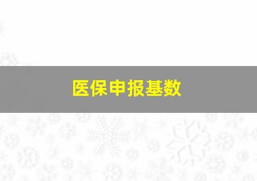 医保申报基数