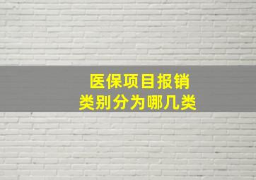 医保项目报销类别分为哪几类