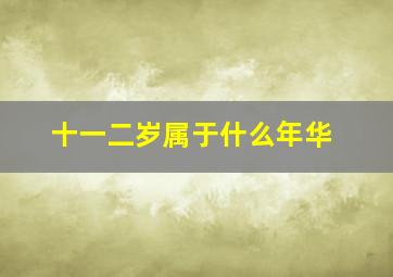 十一二岁属于什么年华