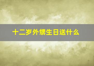 十二岁外甥生日送什么