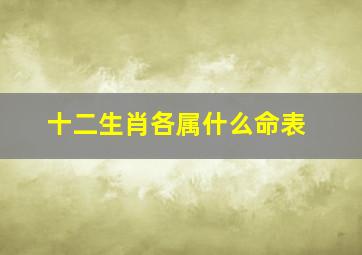 十二生肖各属什么命表