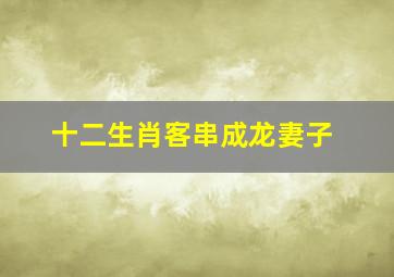 十二生肖客串成龙妻子