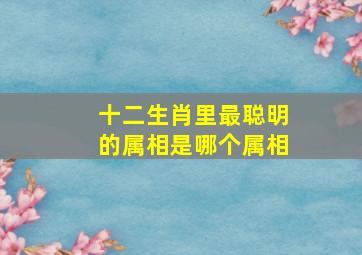 十二生肖里最聪明的属相是哪个属相