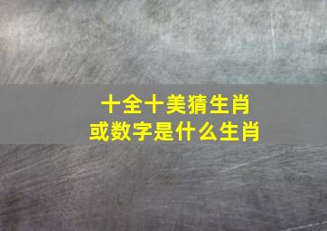 十全十美猜生肖或数字是什么生肖