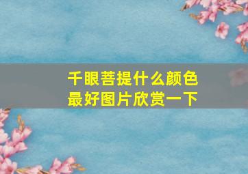 千眼菩提什么颜色最好图片欣赏一下