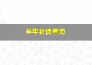 半年社保查询