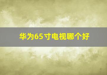 华为65寸电视哪个好