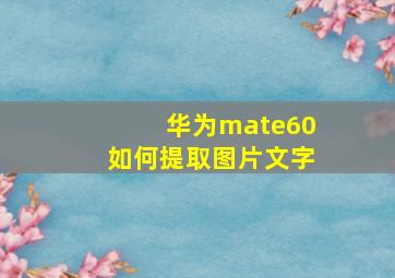 华为mate60如何提取图片文字