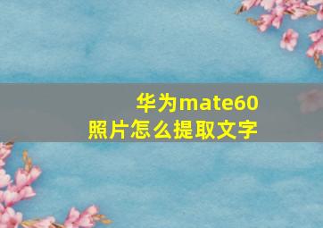 华为mate60照片怎么提取文字