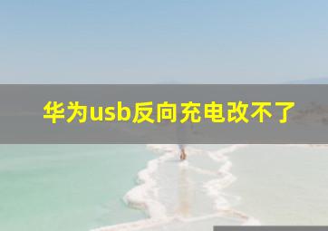 华为usb反向充电改不了