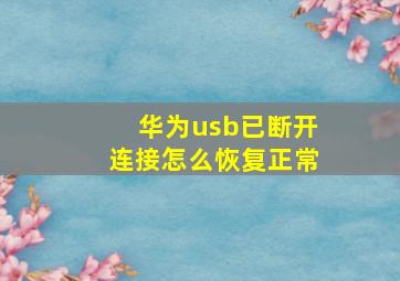 华为usb已断开连接怎么恢复正常