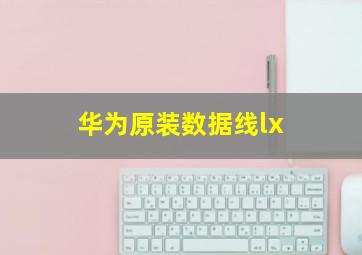 华为原装数据线lx