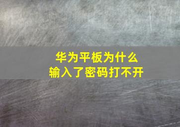 华为平板为什么输入了密码打不开