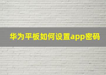 华为平板如何设置app密码