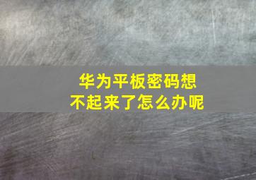 华为平板密码想不起来了怎么办呢