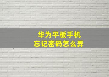 华为平板手机忘记密码怎么弄