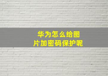 华为怎么给图片加密码保护呢