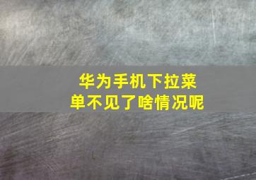 华为手机下拉菜单不见了啥情况呢