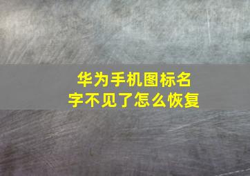 华为手机图标名字不见了怎么恢复