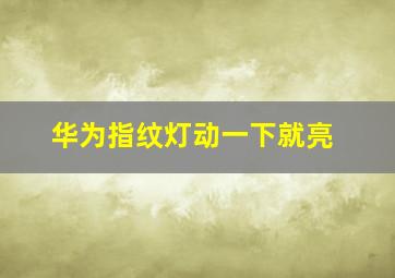 华为指纹灯动一下就亮