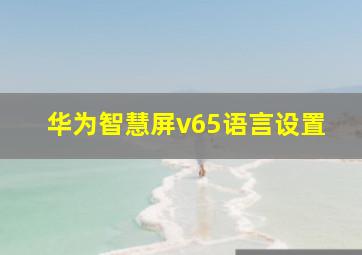 华为智慧屏v65语言设置