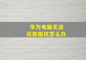 华为电脑无法识别指纹怎么办