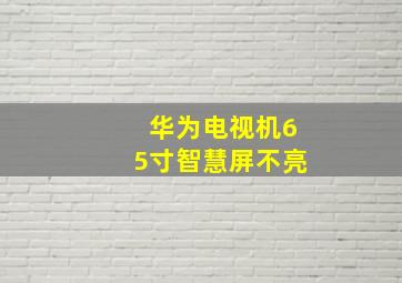 华为电视机65寸智慧屏不亮