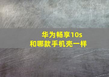 华为畅享10s和哪款手机壳一样