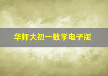 华师大初一数学电子版