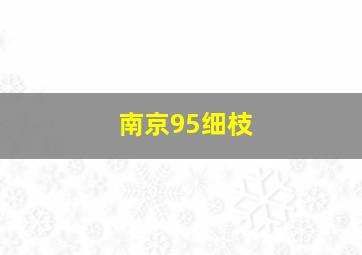 南京95细枝