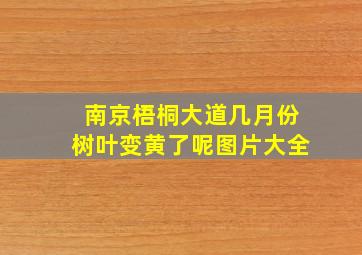 南京梧桐大道几月份树叶变黄了呢图片大全