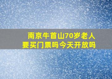 南京牛首山70岁老人要买门票吗今天开放吗