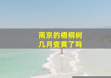 南京的梧桐树几月变黄了吗