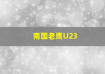 南国老鹰U23