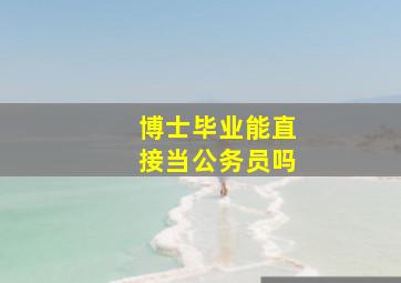 博士毕业能直接当公务员吗