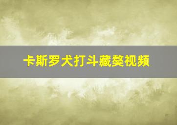 卡斯罗犬打斗藏獒视频