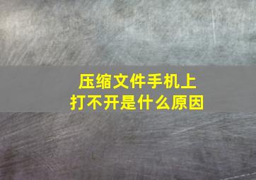 压缩文件手机上打不开是什么原因