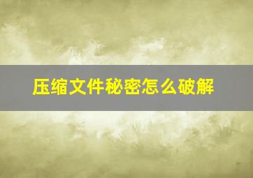 压缩文件秘密怎么破解