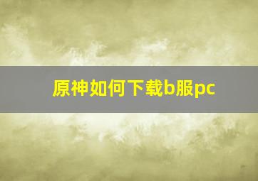 原神如何下载b服pc